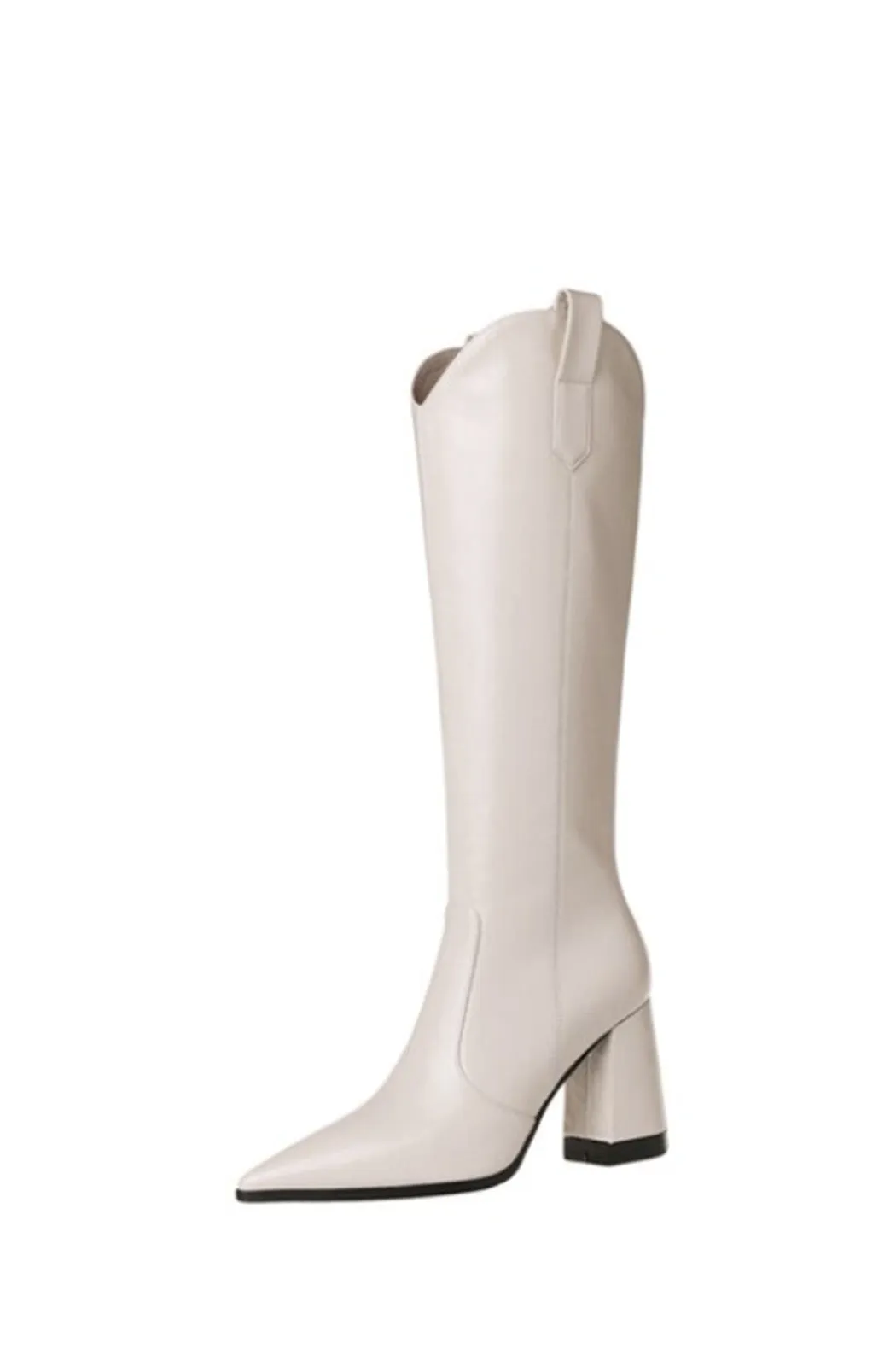 Pointed toe western boots