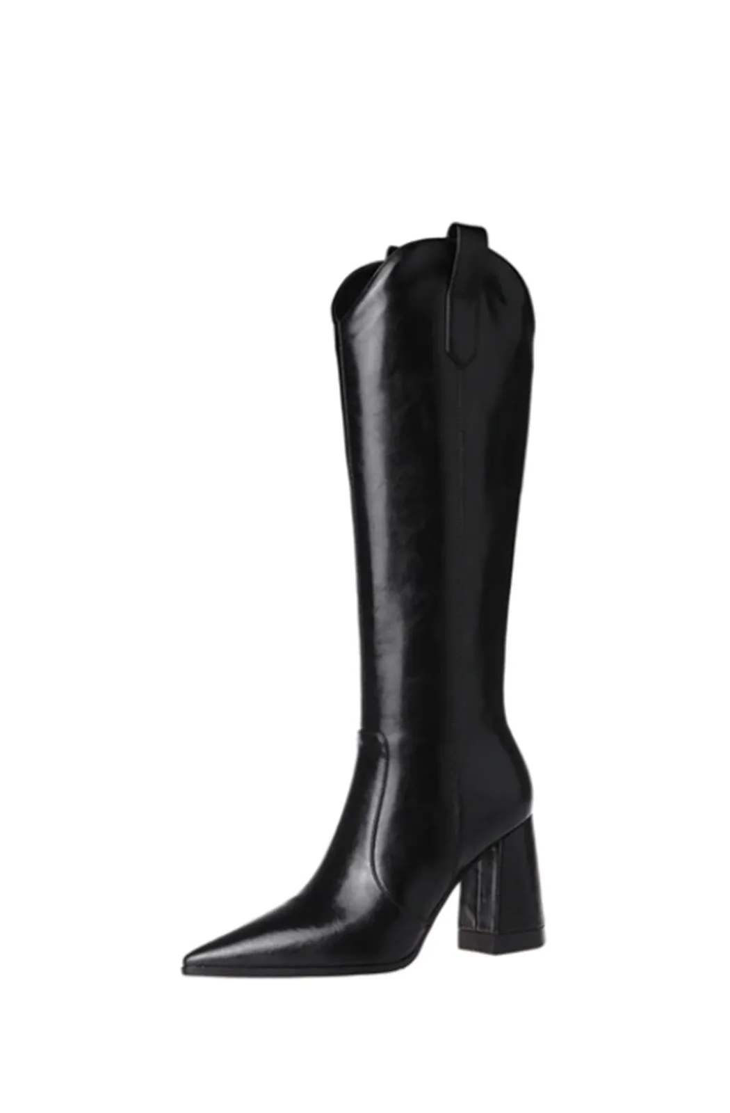 Pointed toe western boots